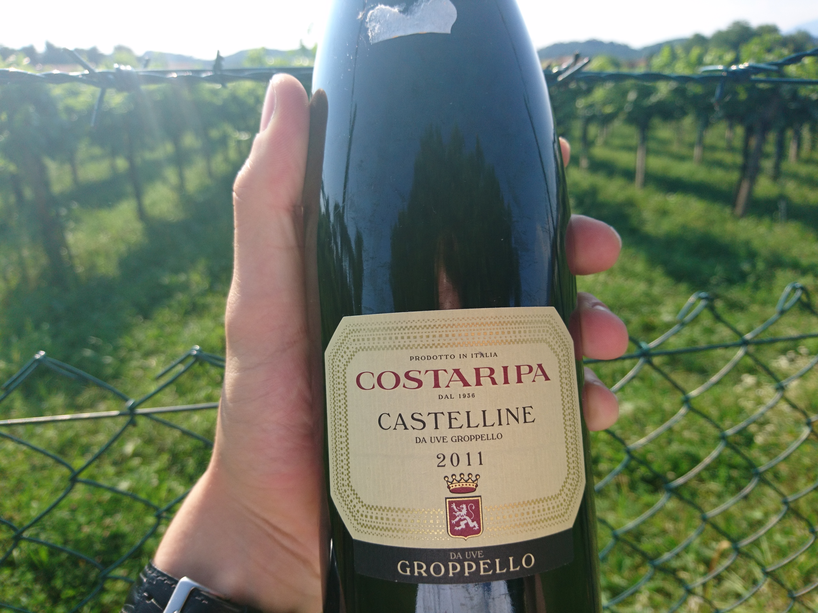 Drink like a local – Groppello znad Gardy