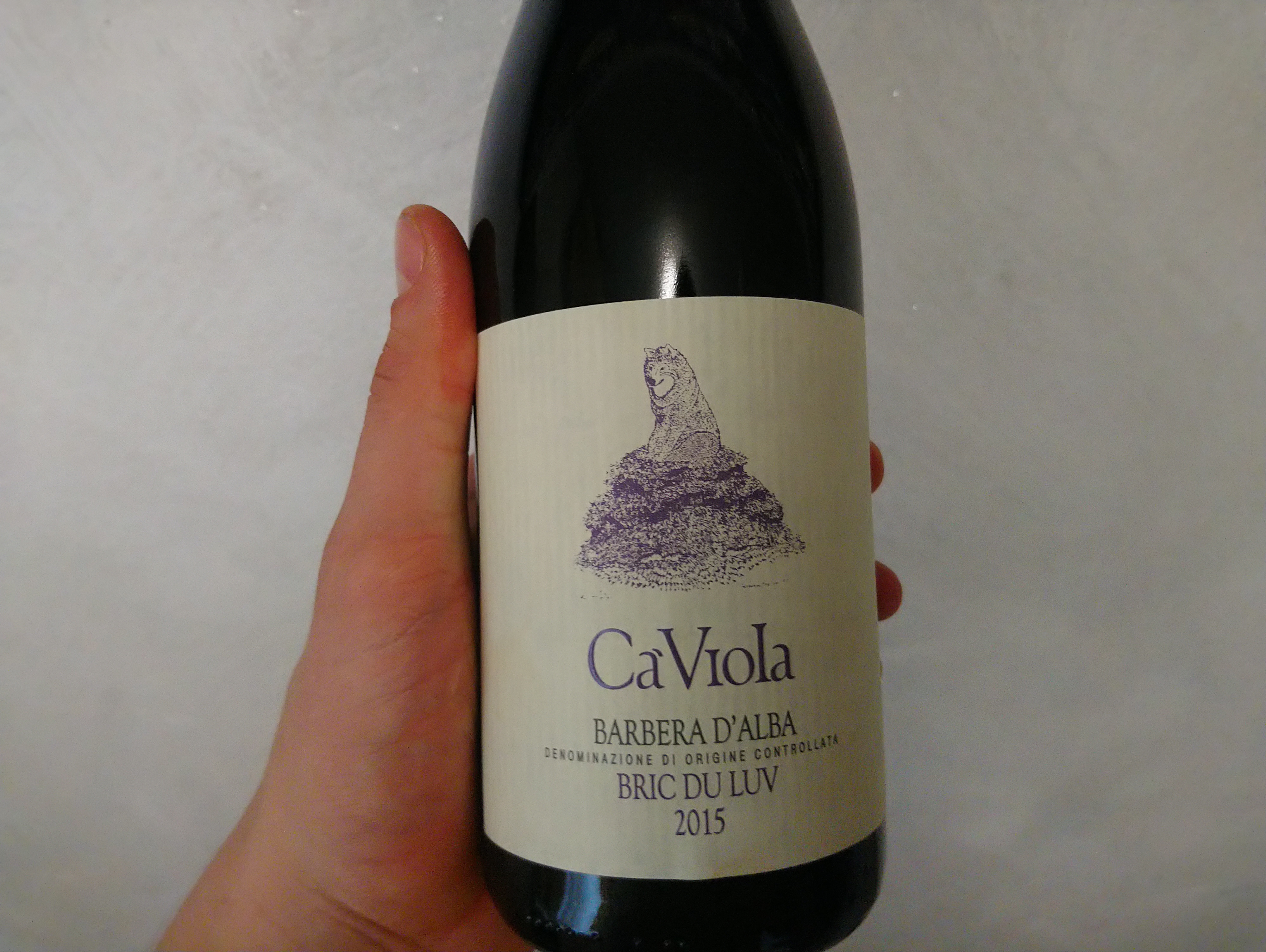 Ca’Viola Bric Du Luv Barbera d’Alba 2015