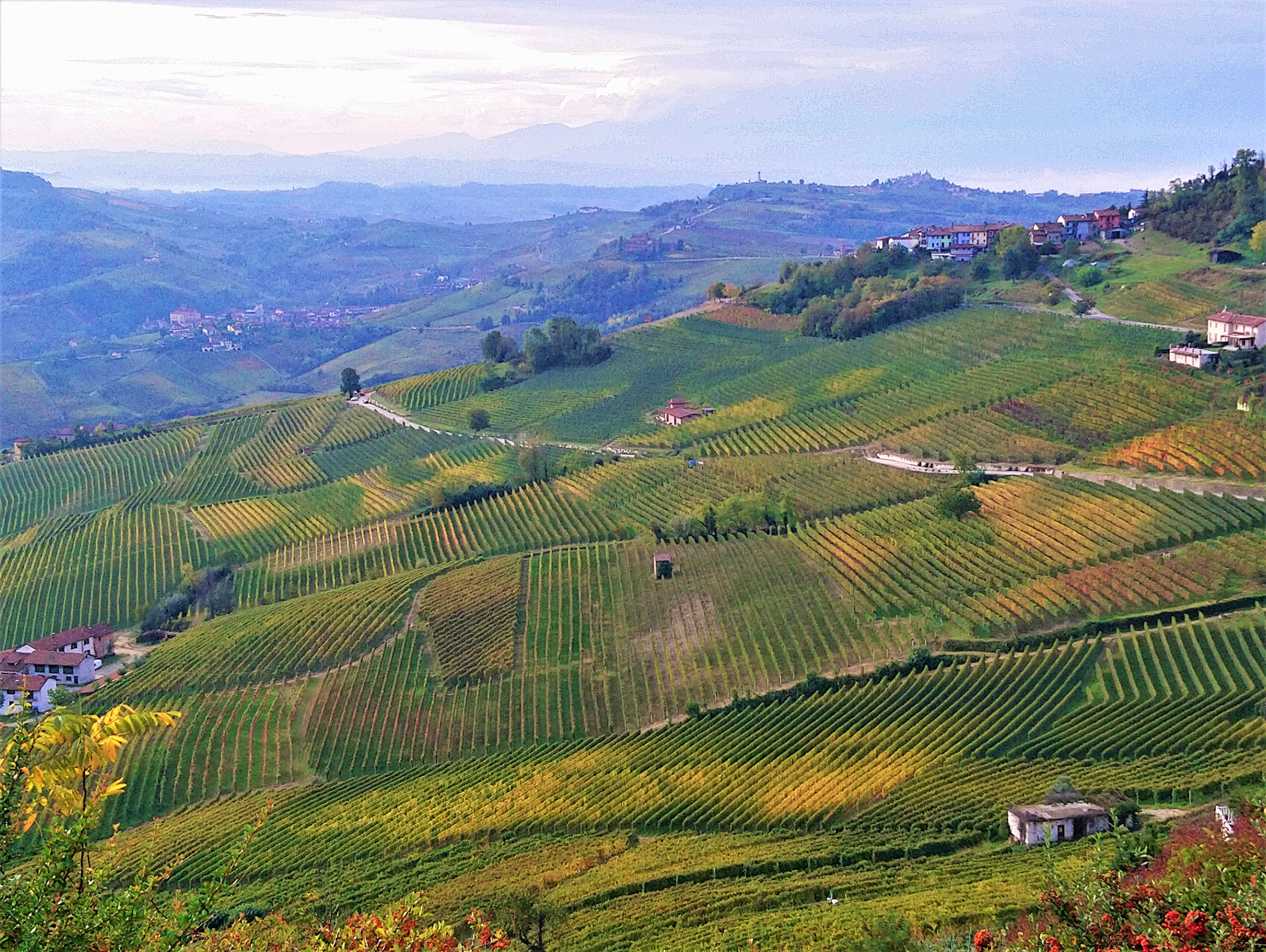 Bajeczne piemonckie miasteczka: La Morra i  Serralunga d’Alba ( cz. I )