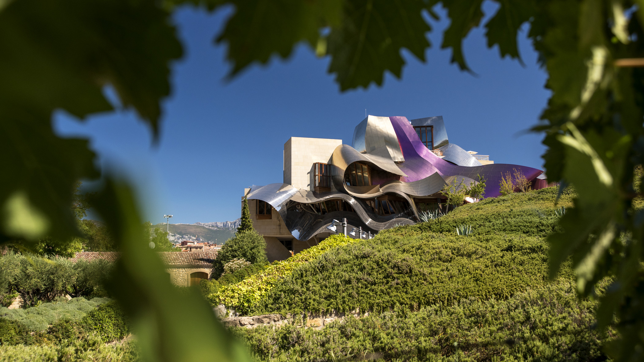 Marqués de Riscal – futurystyczna winiarnia z Elciego + dwie etykiety od Vininova